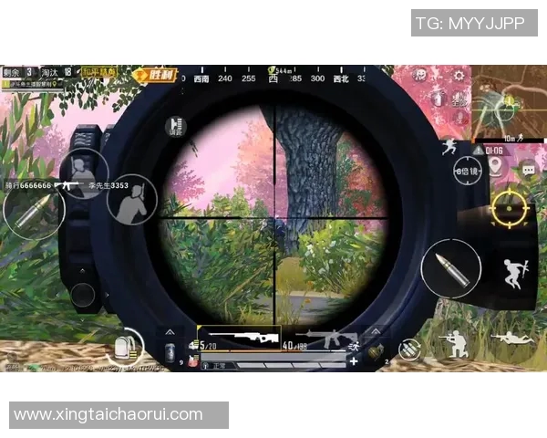 赵秀英专访回顾S15LOL比赛与和平精英成长历程的精彩瞬间实时数据